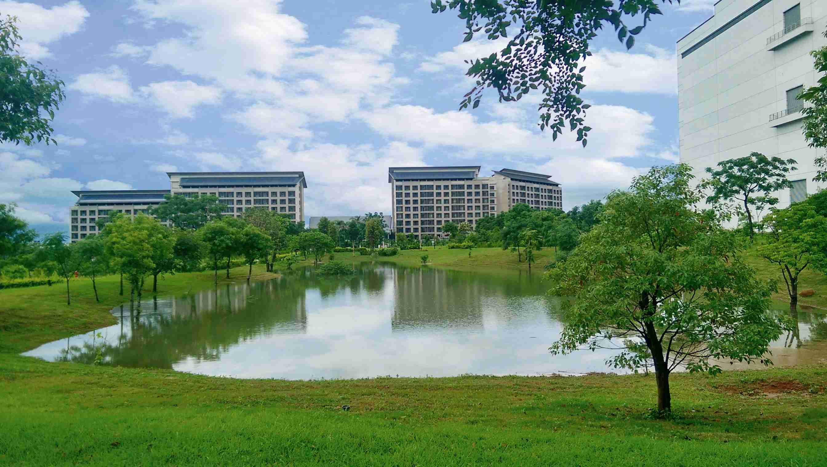 龙门国际响应国际倡议生物多样性趋势，，，首次发布TNFD自然相关财务揭露报告书，，，擘划及开展龙门国际生物多样性政策之承诺，，，，逐步迈向与自然和谐共生